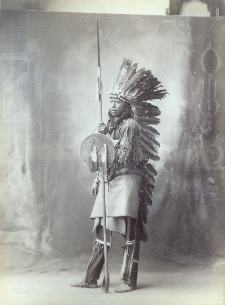 Yellow Magpie (Arapaho)